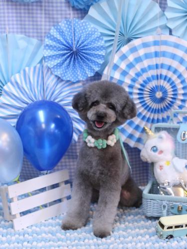 20231116るいくん